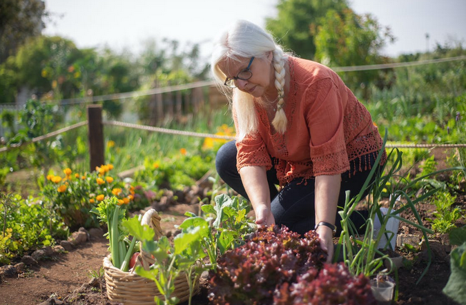 gardener